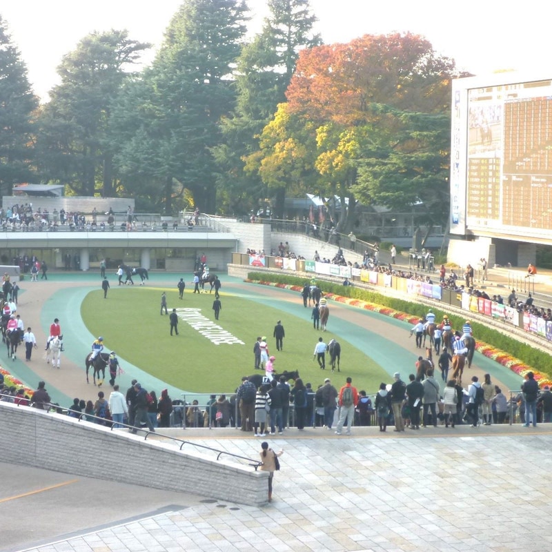 【安田記念の大ヒント】陣営が漏らした「あまりにも具合がいいので狙うことにした」桜花賞馬の「予定急変」重大メッセージ