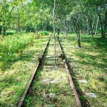 これぞ最高のレジャー！ローカル線「廃線跡」が観光の聖地と化した「路盤を走るレールマウンテンバイク」の爽快感と熱気