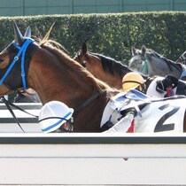【パラダイスＳの大ヒント】競馬ファンの度肝を抜いた10歳馬カリボール「背水の陣」の「激走ファクター」