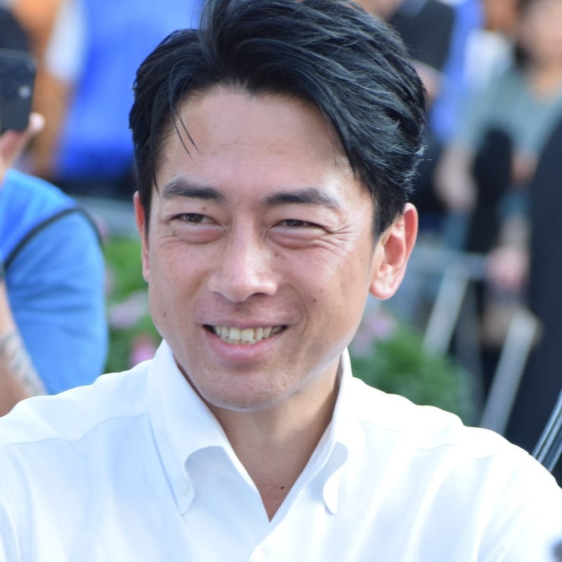 小泉進次郎も本気で動いた！自民党と球界が目指す「プロ野球20球団構想」王貞治と栗山英樹の「持論」講演