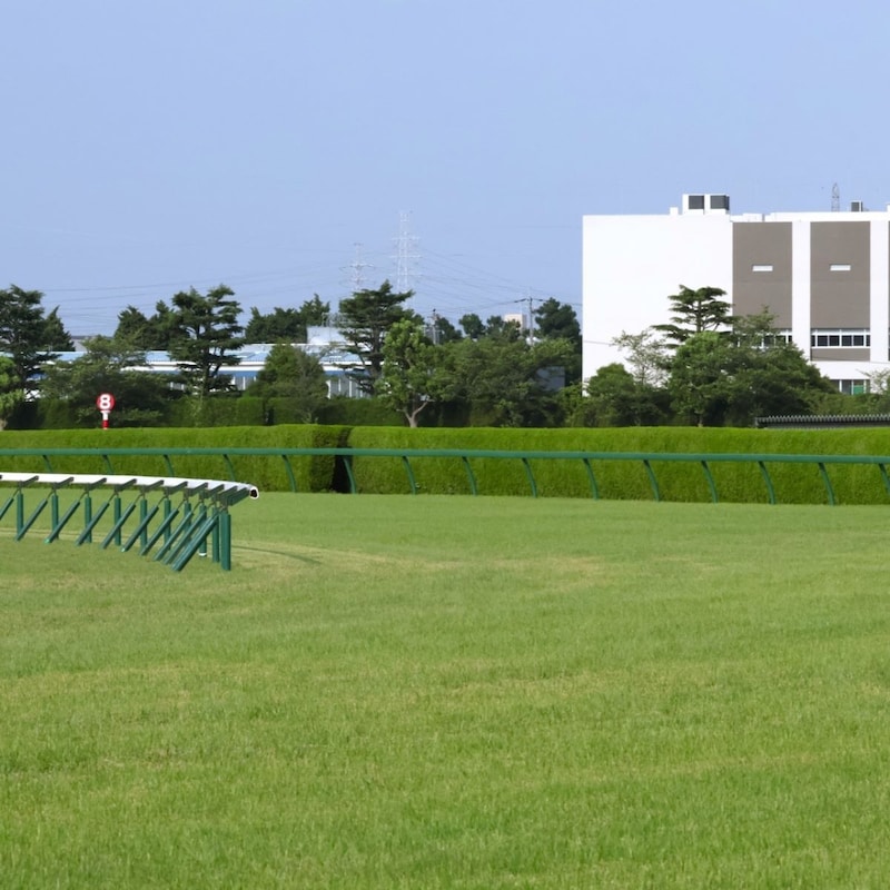 【しらさぎSの大ヒント】「裸同然の53キロ」エコロアルバが出走に踏み切った「切実な厩舎事情」と「放牧休養中の急変」