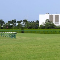 【しらさぎＳの大ヒント】「裸同然の53キロ」エコロアルバが出走に踏み切った「切実な厩舎事情」と「放牧休養中の急変」