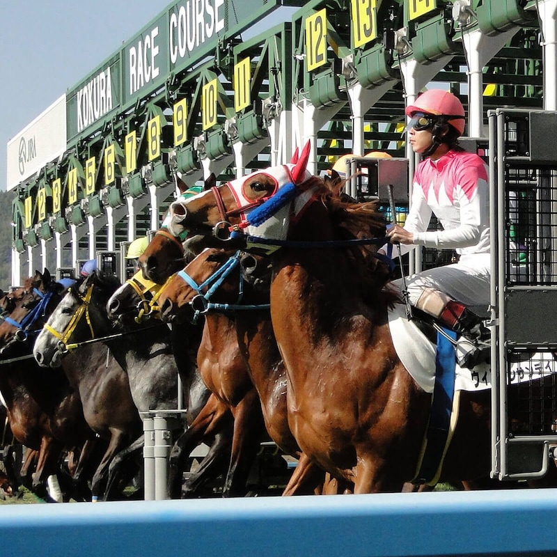 夏競馬は「夏男三銃士“横山武史・戸崎圭太・松山弘平”」で大穴ゲット!