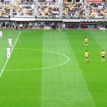 【サッカーＷ杯】決勝トーナメントで日本と対戦するブラジルの「監督支持率」は「５割以下」その理由は…
