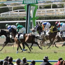 【馬券のツボ】「不作の世代」と言われて猛奮起！低評価を覆した舟山瑠泉と田山旺佑「今週の快進撃馬」