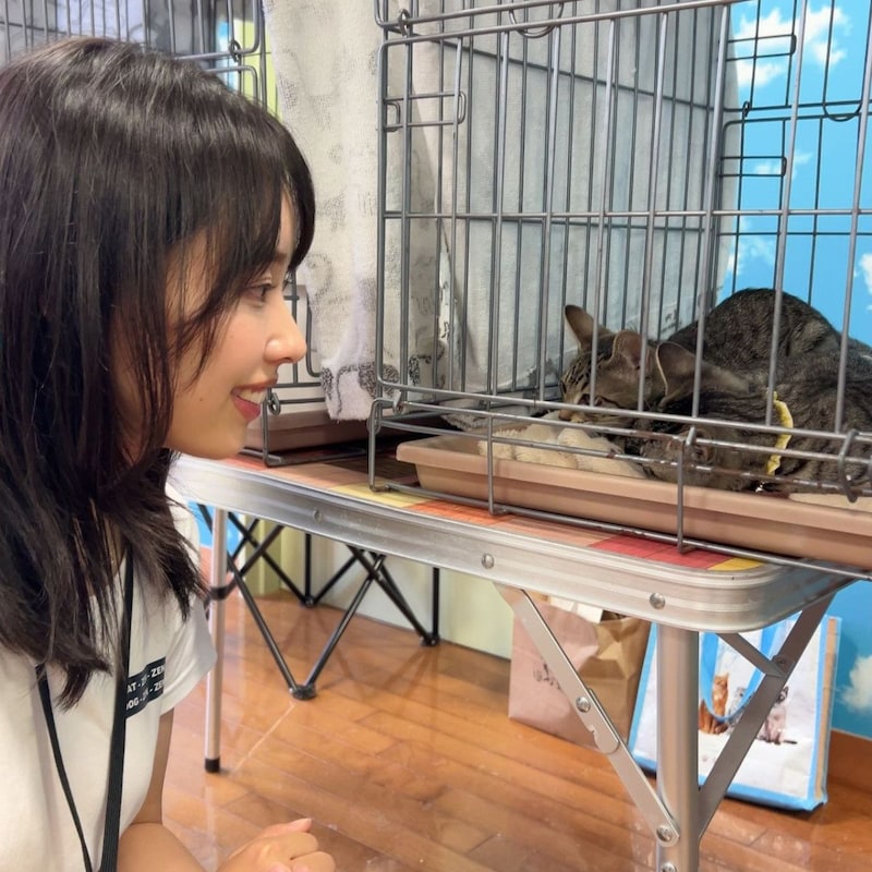 近所で見かける猫「サクラ耳になっているか」が気になる「TNR活動」の始め方／ケイリン女王・高木真備の「保護ねこ生活」