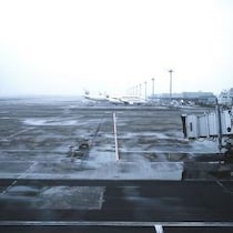 【羽田炎上事故】原因はハッキリしているのに「国交省と海保が責任のなすり合い」で真相究明妨害のアキレた実態