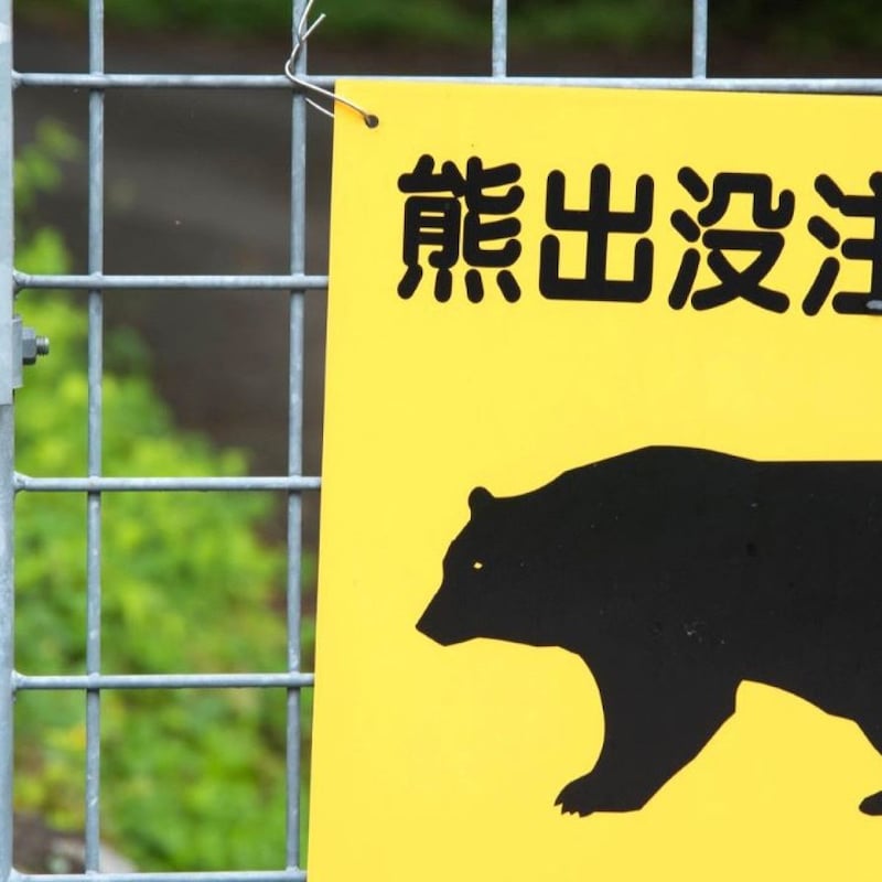 岩手県「ドラム缶のクマ溺死」騒動の顛末「血を飛び散らせず、銃の跳弾による人的な負傷リスクを防ぐ」