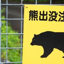 「千葉は本州唯一のクマなし県」定説を覆す生息調査報告書！山中にあった「クマ棚」と「木の幹の爪痕」