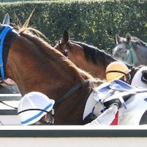 どうする!?酷暑の夏競馬「熱中症の競走馬が10倍に！」心拍数が跳ね上がり歩行どころか立ち上がれず…