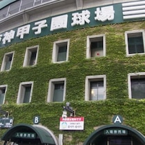 【夏の高校野球】高野連が炎天下の甲子園球場開催から離れられない「入場料収入」事情と「使用料１日200万円が無料に」