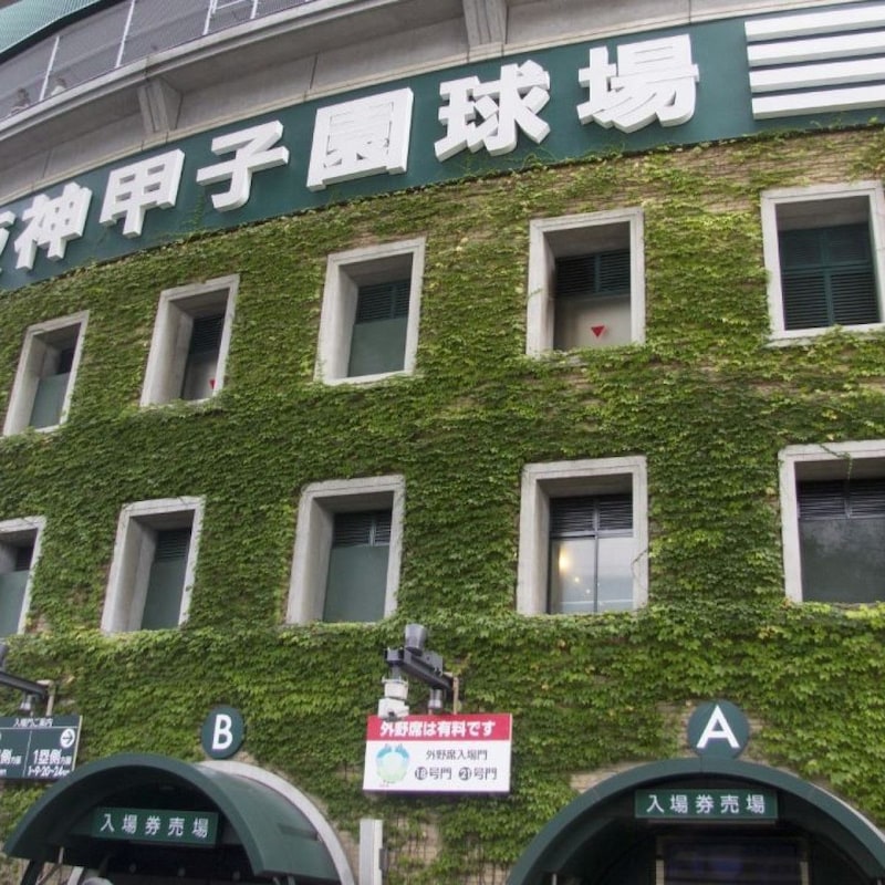 【夏の高校野球】プロスカウトが目をつけた「特注ドラフト指名候補５人」横浜高校エースは阪神とソフトバンクがマーク