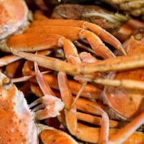 「恐竜の県」イメージ脱却の「福井」が爆発的に人を呼ぶ！日本初「かにファクトリー」と「温泉の若旦那」SNS大バズリ現象