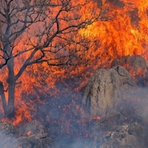 ヨーロッパで「史上最悪の山火事」が続発！消防車も飛行機も人間も近づけない「第６世代火災」は「天気を作り出す」