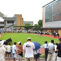 【今週のツボ馬券】絶好調トップ独走「エフフォ―リア産駒」が束になって攻勢をかける「重賞・未勝利・新馬戦」
