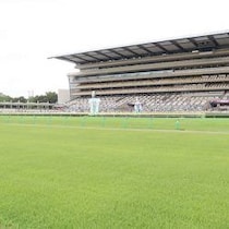 ミスターWIN5・伊吹雅也「6億円馬券」研究所〈新潟2歳Sの1〜2枠は〈1 0 0 15〉〉