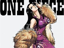 【画像】ハンコックの目力に「ぐはっ…」　ヒロインだらけ『ワンピ』一番くじ全ラインナップを知る