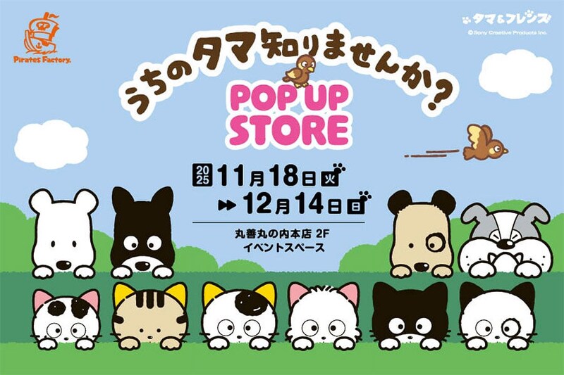 イルミネーション輝く丸の内で「タマ＆フレンズ」POP-UPストア開催←サンリオコラボも