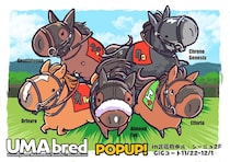 競走馬グッズブランド「UMAbred」が府中でサテライトPOP-UP開催