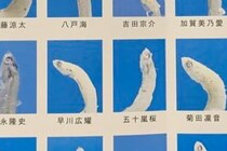 【画像】え、「ナニコレ!?」「発想エグい」　衝撃的な「しらすの集合写真」を見る（7枚）