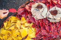 【画像】え…っ！「見事な配色」「お腹も凄い」　こちらが落ち葉で作った「キョロちゃん」です