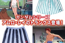 【閲覧注意】ひたすらパンツ画像です　アムロのトランクスとボクサーパンツ（12枚）