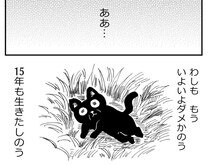 【漫画】15年間孤独に生きた野良猫「いよいよ最期」と思ったら、女性に拾われ？　結末に「号泣」