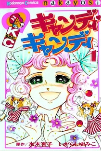 何度も再放送された「名作少女アニメ」に起きた悲劇　まもなく「50周年」だが絶版・再放送なしの現実