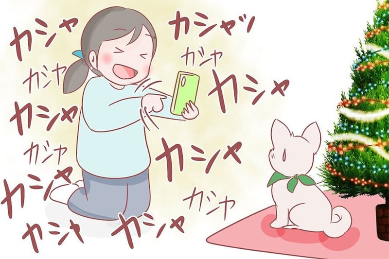 【漫画】分かっちゃいるけど…　飼い主の愛でたい気持ちを察する犬　親心を知りながらも耐えきれない長老犬に「速っ」【作者インタビュー】