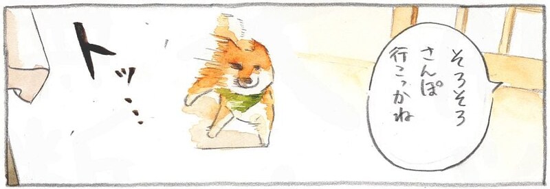 【漫画】「散歩」の言葉に面構えが変わる柴犬　興奮しすぎた結果？　25万人「分かる」【作者インタビュー】