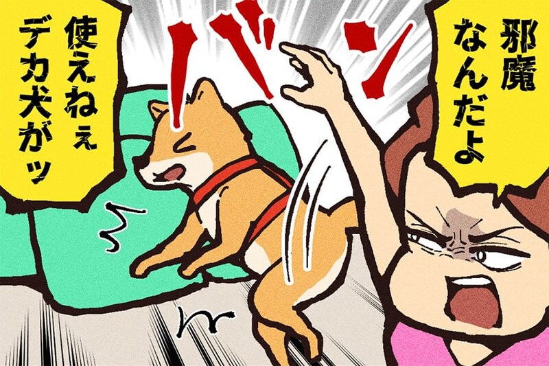 【漫画】「使えねぇ」と犬を捨てた女性に罰が…　“皮肉”な結末に「ざまぁ」【作者インタビュー】