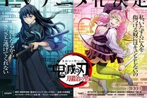 【画像】え、「透明感凄すぎ」「癒やされる」　こちらが『鬼滅』最新イラスト記録集の表紙＆裏表紙です
