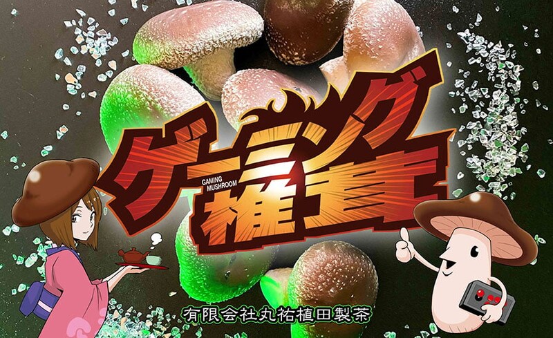 なぜ椎茸が「ゲーミング」？　三代目農家が語る格ゲー大会から商標登録の経緯とその後