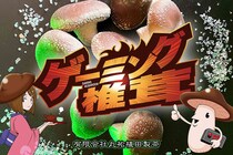 なぜ椎茸が「ゲーミング」？　三代目農家が語る格ゲー大会から商標登録の経緯とその後