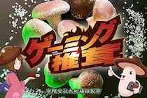 なぜ椎茸が「ゲーミング」？　三代目農家が語る格ゲー大会から商標登録の経緯とその後