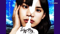 「ほぼ丸見え」「なぜ放送できた」　過激すぎな原作を再現した深夜の実写化ドラマ