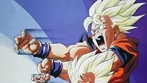 【画像】え、「全部欲しい」「争奪戦エグそう…」こちらが7度目の登場となる『ドラゴンボール』最新一番くじです（7枚）