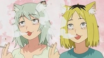 【画像】え、「谷間どころか…」「見えちゃってる」夏の問題作『ヤニねこ』メインキャラを実写化した場合の姿