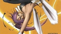 【画像】え…っ！「大丈夫か、この食い込み笑」　こちらが『BLEACH』人気ヒロインの“攻めた造形”です（5枚）