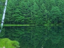 【2024】長野県の人気観光スポットTOP49！旅行好きが行っている観光地ランキング