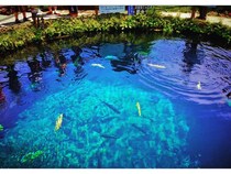 カップルの日帰りデートに！甲信越のおすすめデートスポット24選