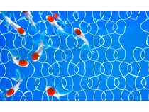 【2025最新】全国の人気水族館TOP38！旅行好きが行っている水族館ランキング