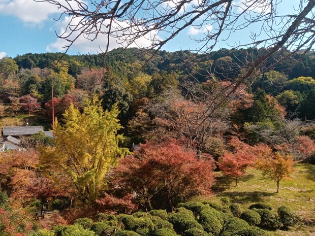 奈良市郊外の山間にある【正暦寺】の紅葉を見に行こう