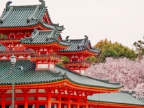 【2025】京都の人気観光スポットTOP51！旅行好きが行っている観光地ランキング