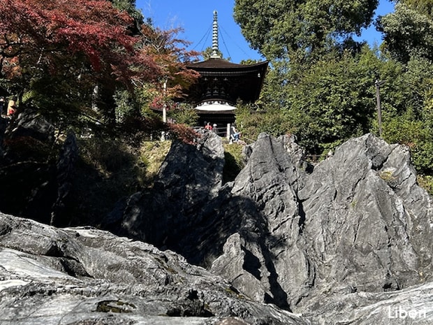 【滋賀】混まない絶景!秋の石山寺散歩をおすすめする理由