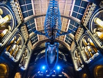 海外の人気博物館TOP27！旅行者が行っている世界の博物館ランキング