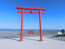 佐賀県でおすすめの歴史・由緒あるお社10選！！