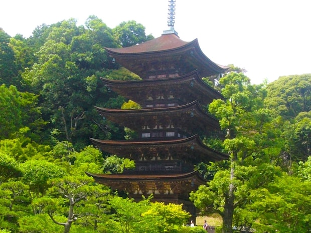 【山口県】県庁所在地「山口市」おすすめスポット!