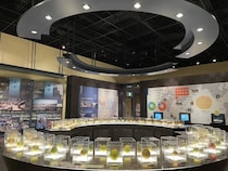 鳥取二十世紀梨記念館なしっこ館の見どころ＆おすすめポイント！