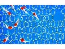 【2025最新】全国の人気水族館TOP38！旅行好きが行っている水族館ランキング